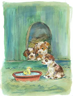 Matthes: Three Puppies looking at a duckling