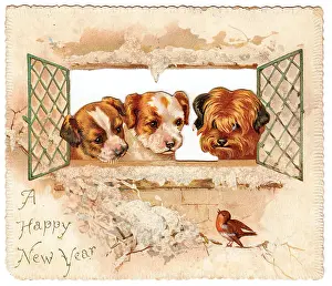 Chirping: Three puppies and a robin on a New Year card