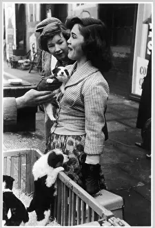 Resisting: PUPPIES FOR SALE