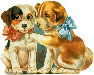 Necks: Two Puppies wearing Bows