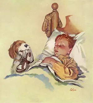Canines: Puppy brings Shoe to sleeping Boy