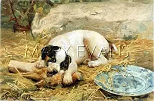 Sweeter: PUPPY CHEWS BONE
