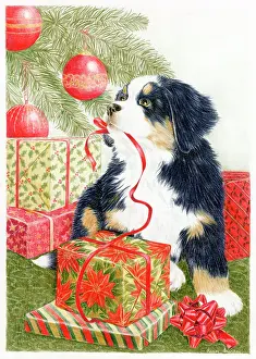 Unwrapping: Puppy Under Christmas Tree