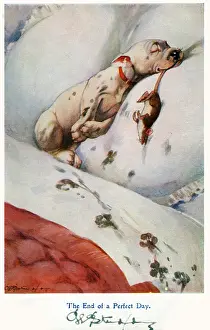 Puppy collapses into bed, a prize rat in his mouth