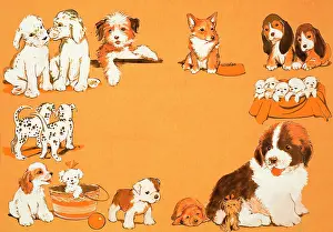 Bassett: Puppy dogs