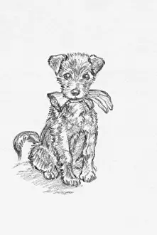 Chewing: Puppy with glove