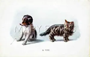 Tiff: PUPPY AND KITTEN