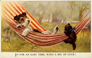 Hammock: Puppy and kitten with hammock