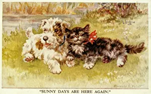 Valter: Puppy and kitten in the sunshine