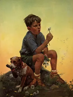 Blows: Puppy Love