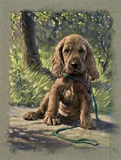 Leash: A puppy with a sad expression