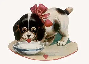 Canines: Puppy sips from Bowl of Milk