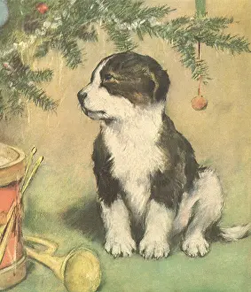 Bugle: Puppy Under Tree Bough