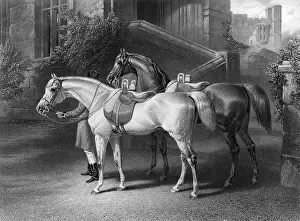 Hatzfeld: Two pure Arab sires of Queen Victoria