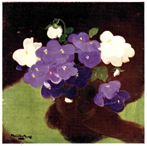 Violas: Purple And White Violas