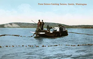 Skiff: Purse Seinors Catching Salmon, Seattle, Washington, USA
