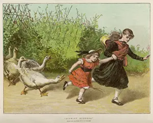 Pursued: PURSUED BY GEESE