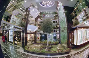 Pushkin: Pushkin Plaza Supermarket