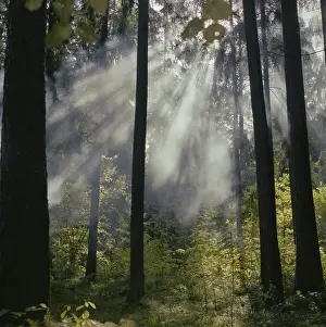 Septembre: Pushkin's Mikhaylovskoye Reserve