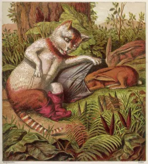 Coaxes: PUSS IN BOOTS - 2