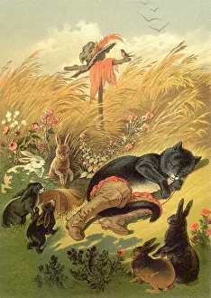 Scarecrow: Puss in Boots