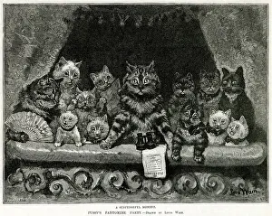 Puss at the Play - Tragedy and Comedy