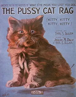Pussy: The Pussy Cat Rag