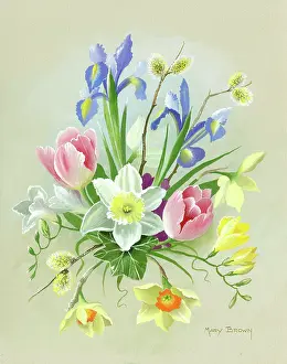 Reticulata: Pussy willow, iris reticulata, daffodils, tulips etc