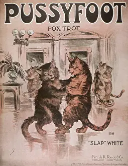 Trot: Pussyfoot Fox Trot