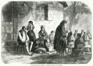 Singular: Putting bee-hives into mourning 1856