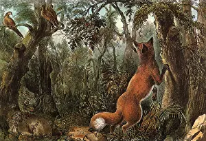 Puzzled: The Puzzled FoX