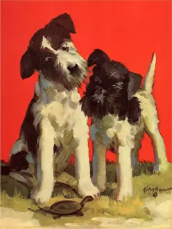Puzzled: Puzzled Pups