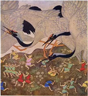 The Pygmies