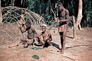 Unusually: Four Pygmy Men Building Framework for Leaf Hut Shelter and