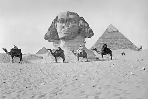 Camels: Pyramids and Sphinx of Giza, ca. 1900's