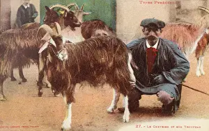 Pyrenean: Pyrenean Goat Shepherd and his Flock