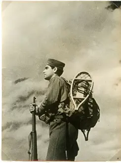 Pyrenean: Pyrenean Mountain Troops