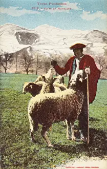 Pyrenean: Pyrenean Shepherd and his flock