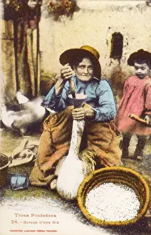 Gras: Pyrenean Woman force-feeding a goose