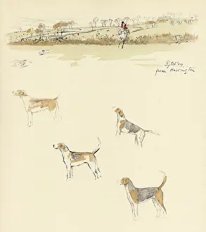 Harrington: Pytchley Hunt from Harrington, Northamptonshire