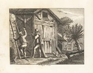 Yokel: Pythagoras and the Countryman