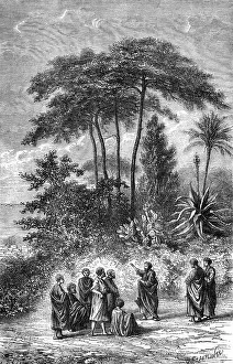 Pythagoras: PYTHAGORAS AND STUDENTS