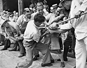 Needed: A python is force-fed, 1934