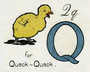 Deans: Q for Quack Quack