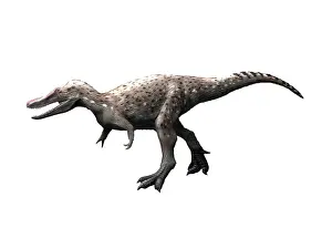 Markings: Qianzhousaurus dinosaur