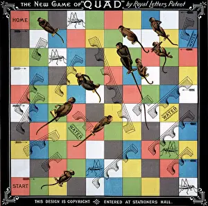 Quad: Quad Game