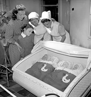 Quadruplets: Quadruplets - newborn - babies