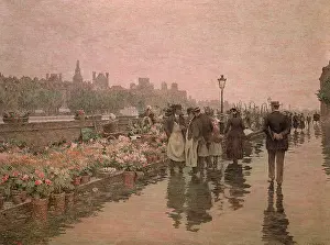 Fleurs: Quai aux Fleurs, Paris