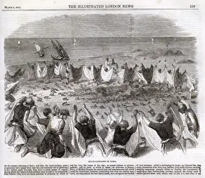Quail: Quail catching in Syria 1862