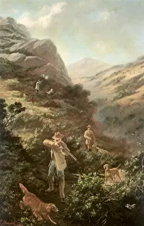 Marin: Quail Hunting in Marin
